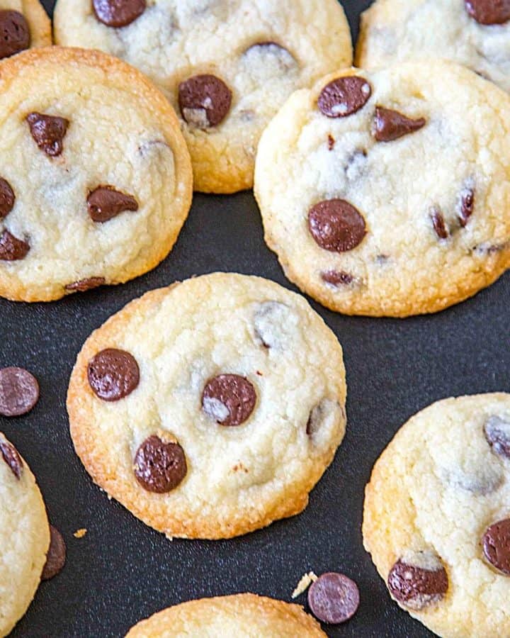 BakeryStyle Chocolate Chip Cookie Recipe (no Chilling) Veena Azmanov