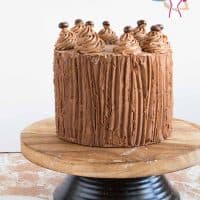 A cake glazed with ganache.