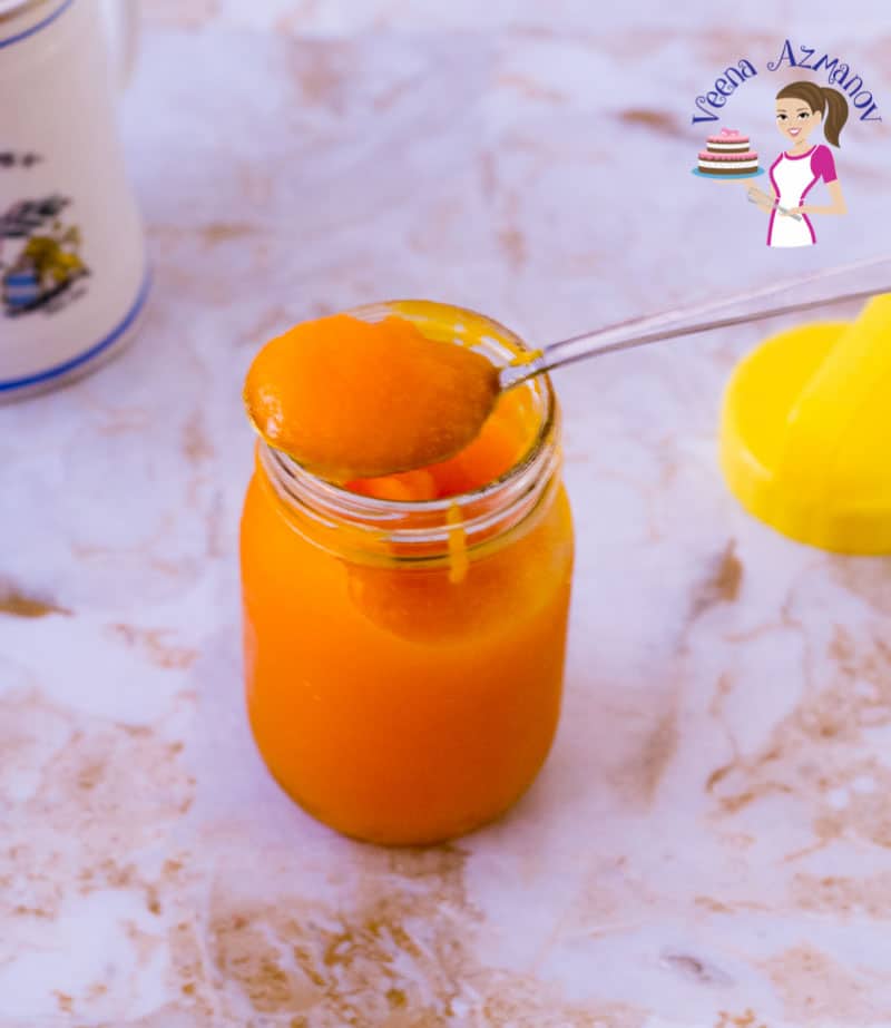 https://staging.veenaazmanov.com/wp-content/uploads/2019/10/Homemade-Pumpkin-Puree29-1.jpg