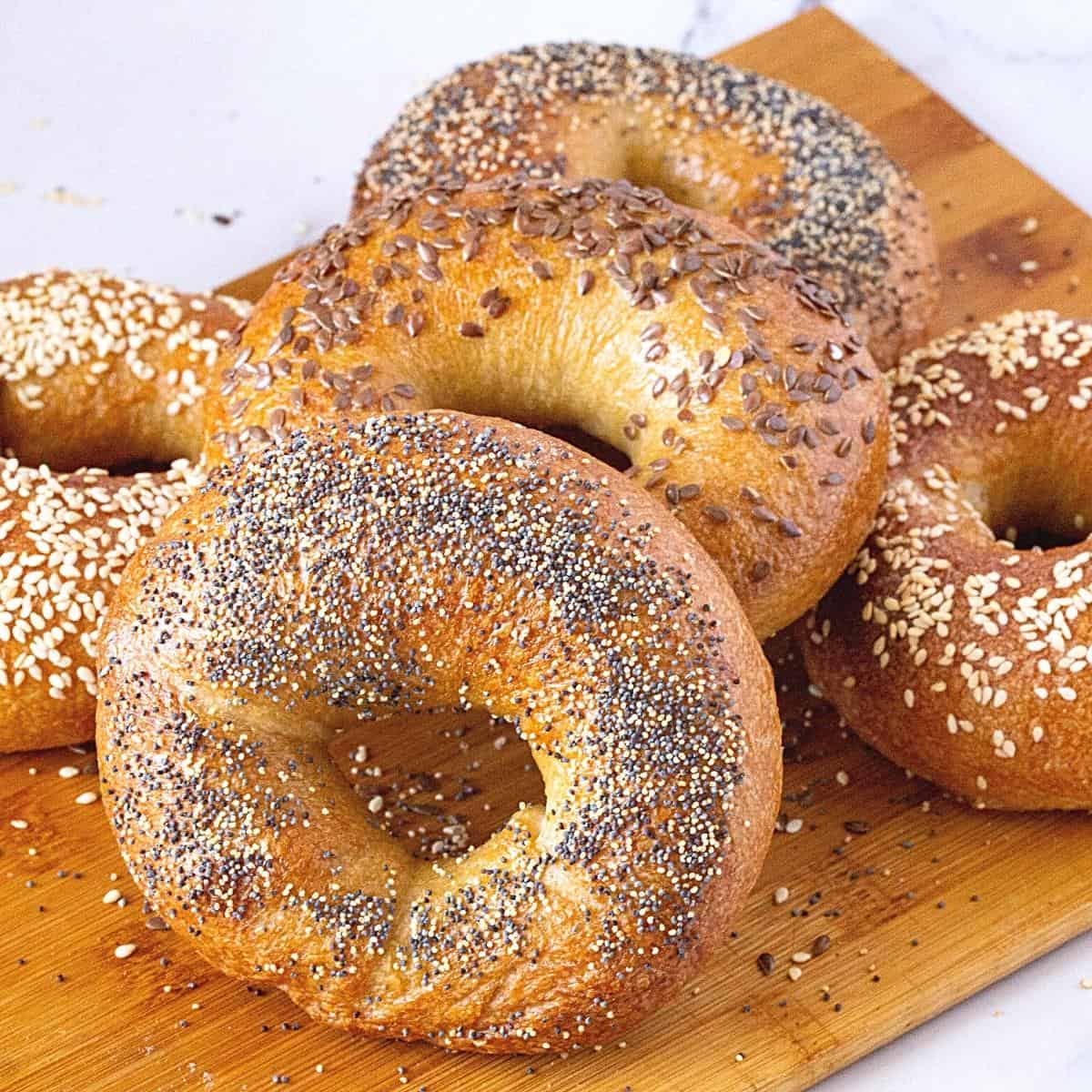 Homemade Bagels Recipe